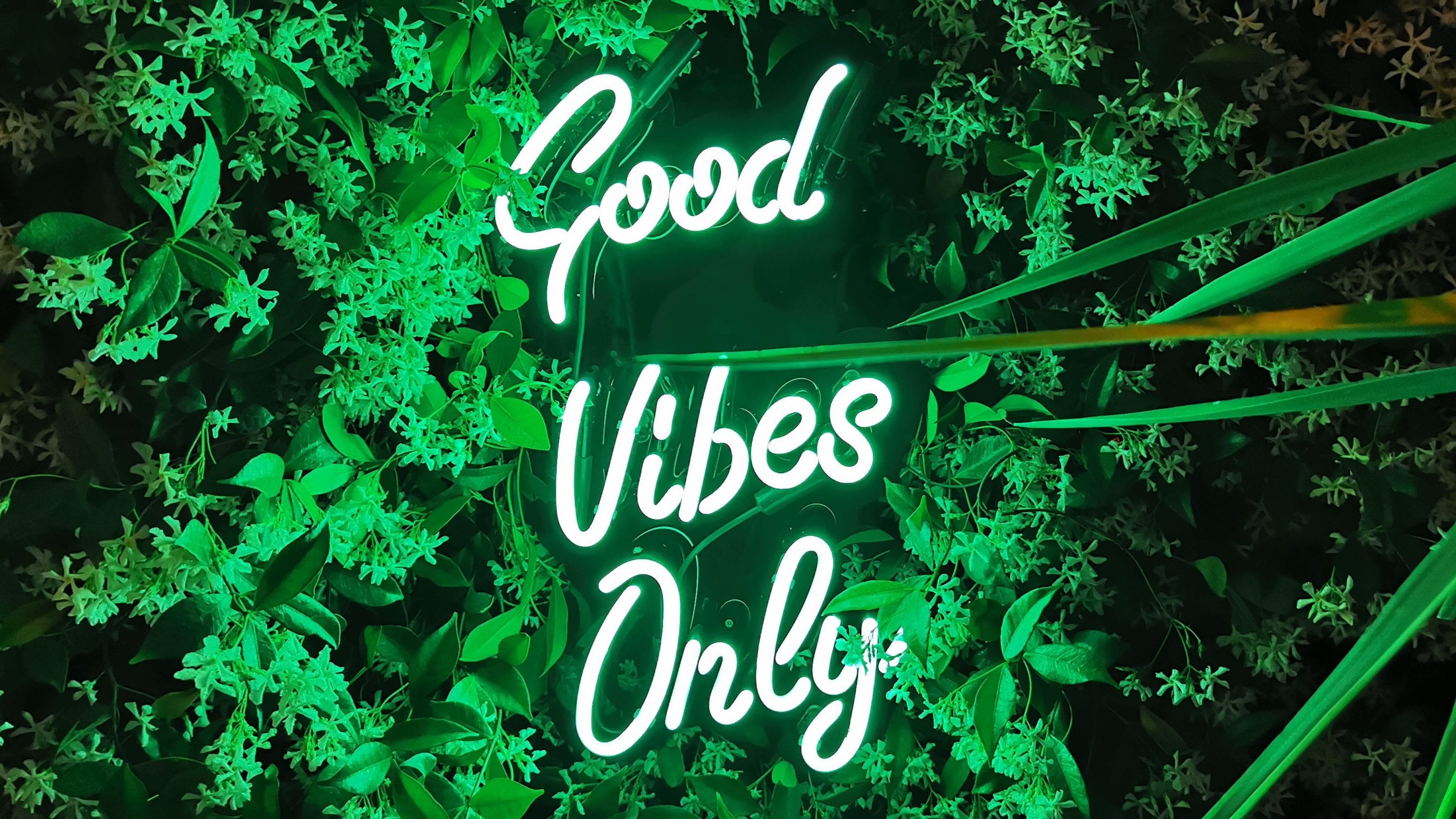 Header-Bild für den Neon Konfigurator von neooon.store zur Gestaltung individueller LED- und Neon-Schilder.